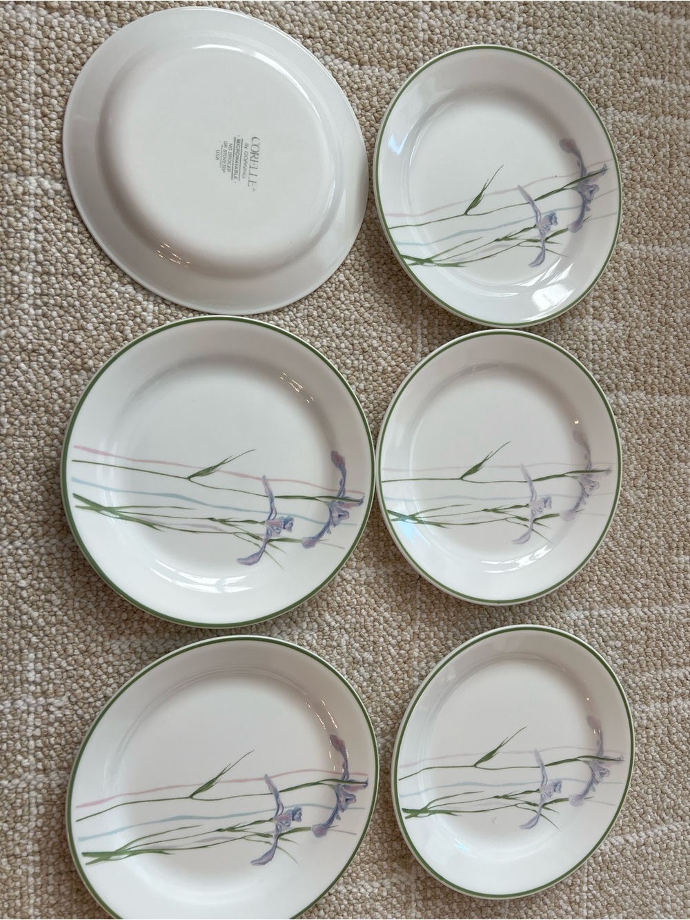 Corelle White Dinner Plate with Subtle Green Rim Accent